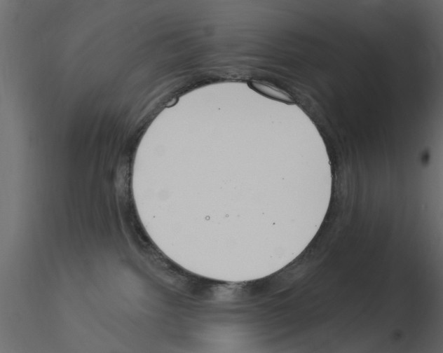 X0000115850092200912242047