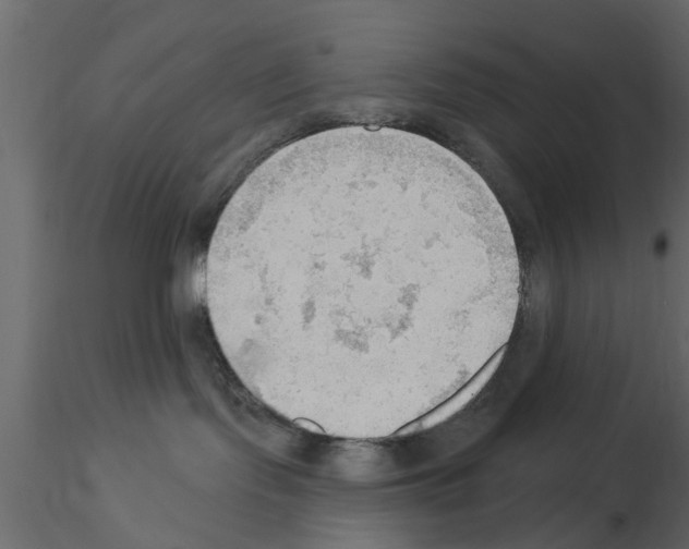 X0000115850095200912242047