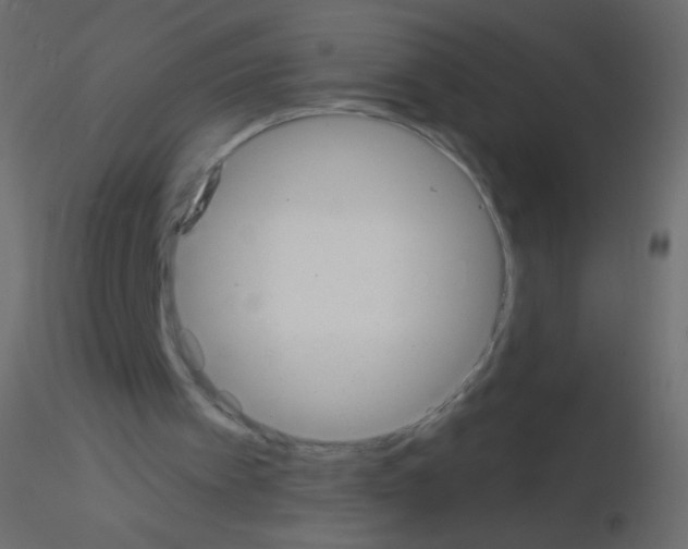 X0000115850097200912242046