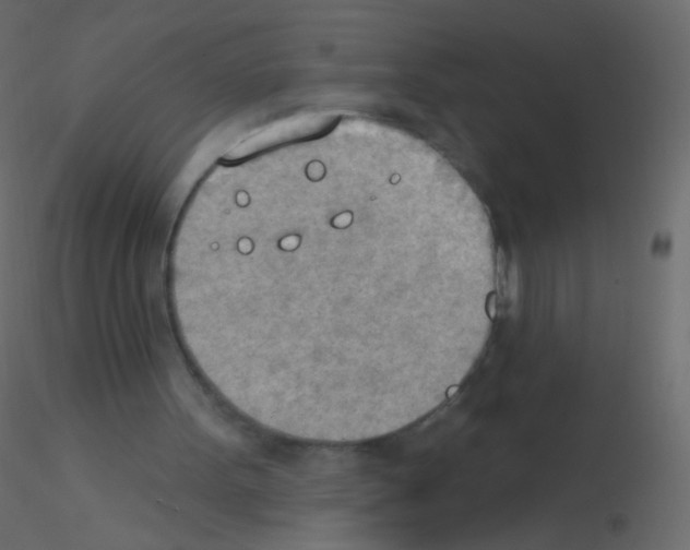 X0000115850099200912242046