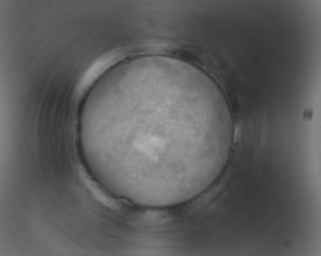 X0000115850101200912242046