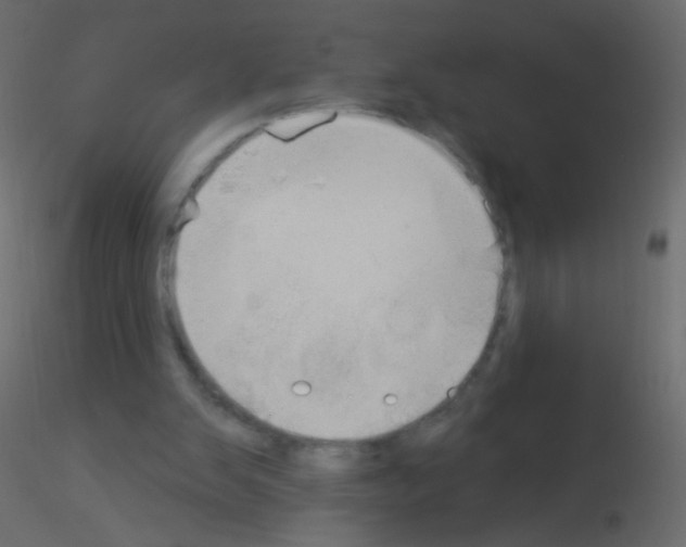 X0000115850103200912242046