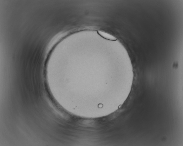 X0000115850104200912242046