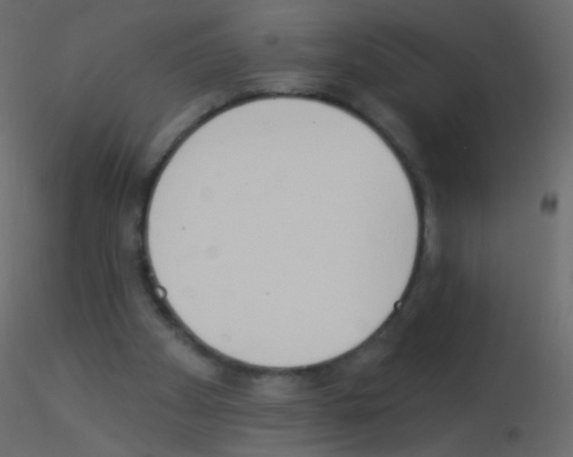 X0000115850105200912242046