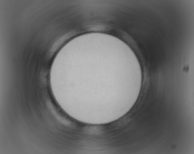 X0000115850106200912242046