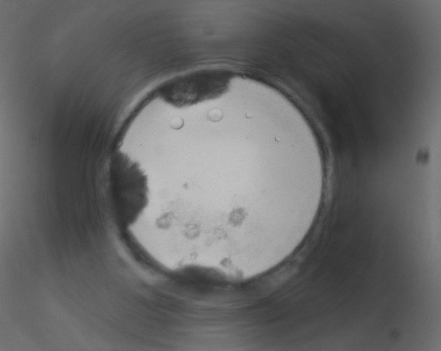X0000115850107200912242046
