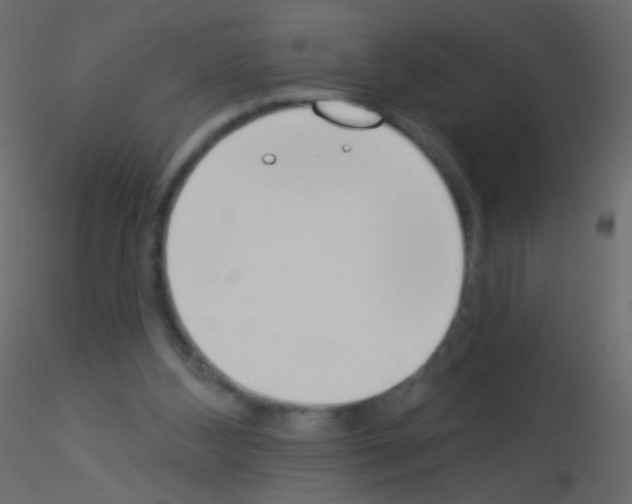 X0000115850108200912242046