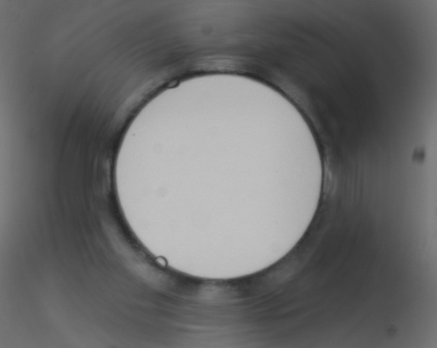 X0000115850109200912242046