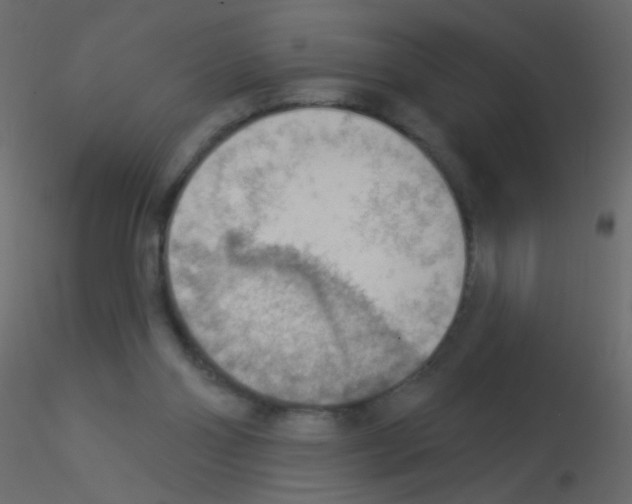 X0000115850110200912242046