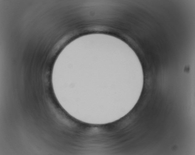 X0000115850111200912242046