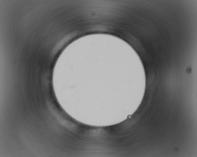 X0000115850112200912242046