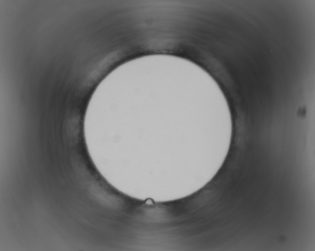 X0000115850113200912242046