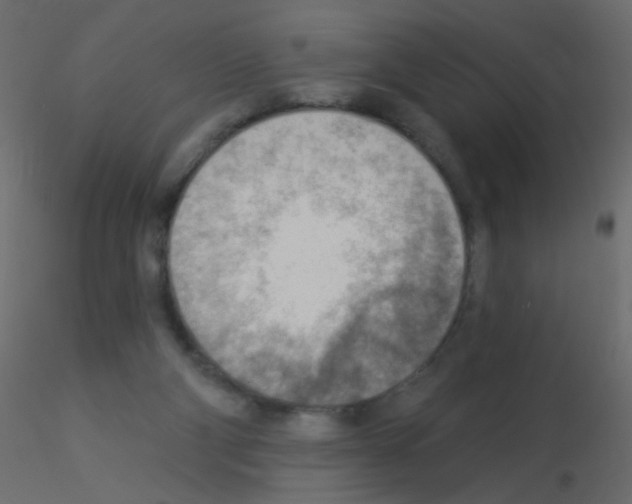 X0000115850114200912242046