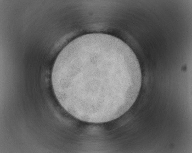 X0000115850115200912242046