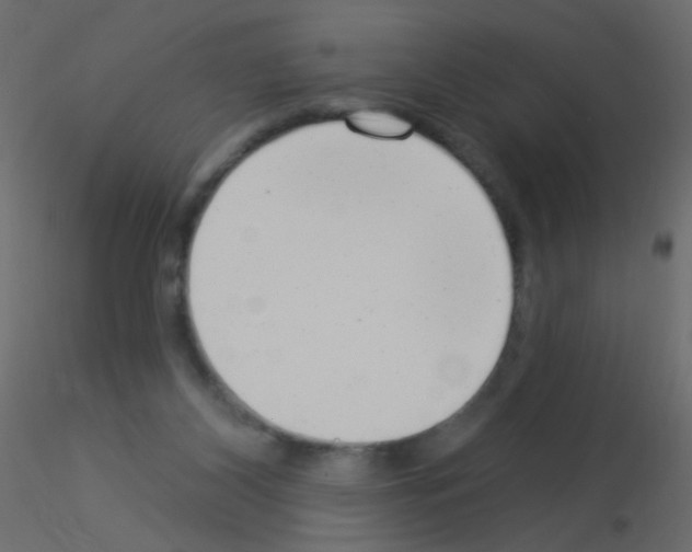 X0000115850116200912242046