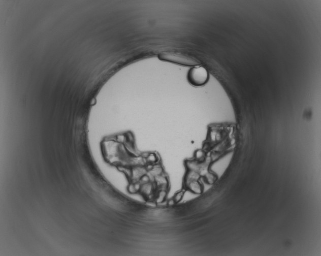 X0000115850117200912242046