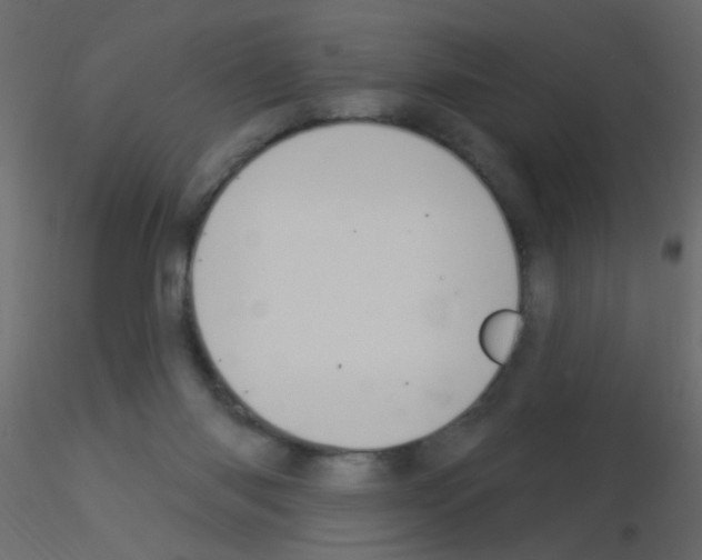X0000115850118200912242046
