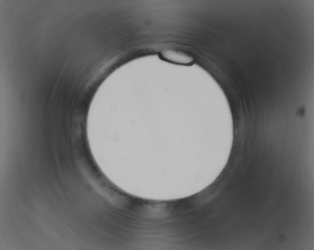 X0000115850120200912242046