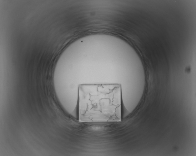 X0000115850121200912242046