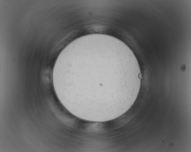 X0000115850122200912242046