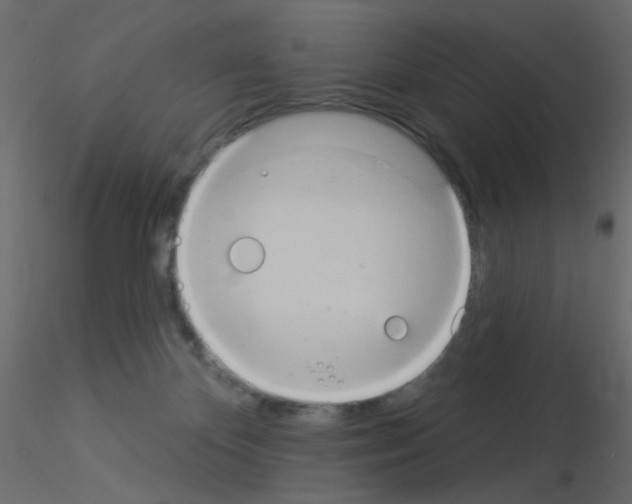 X0000115850124200912242046