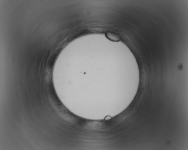 X0000115850125200912242046
