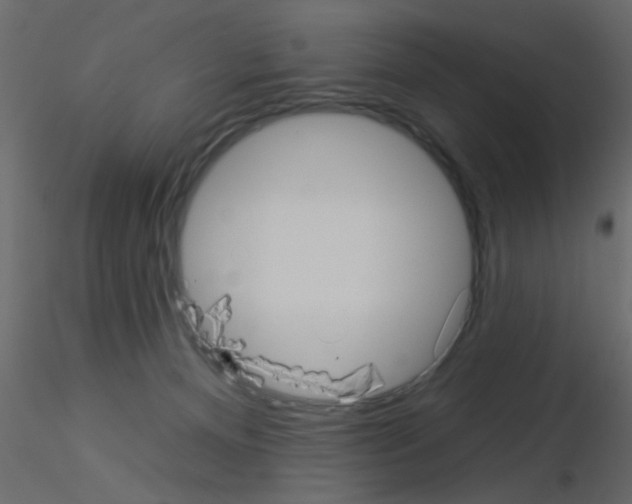 X0000115850128200912242046