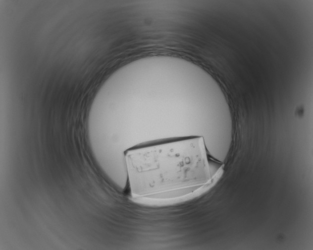X0000115850129200912242045