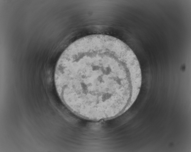 X0000115850131200912242045