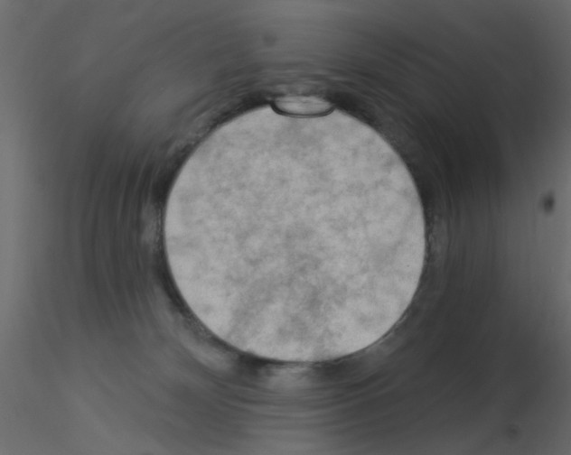X0000115850132200912242045