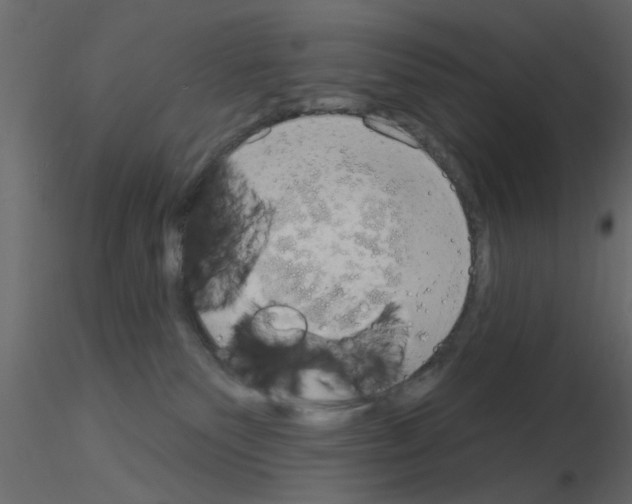 X0000115850135200912242045