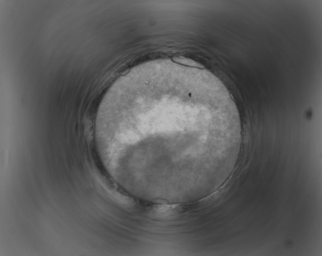 X0000115850136200912242045