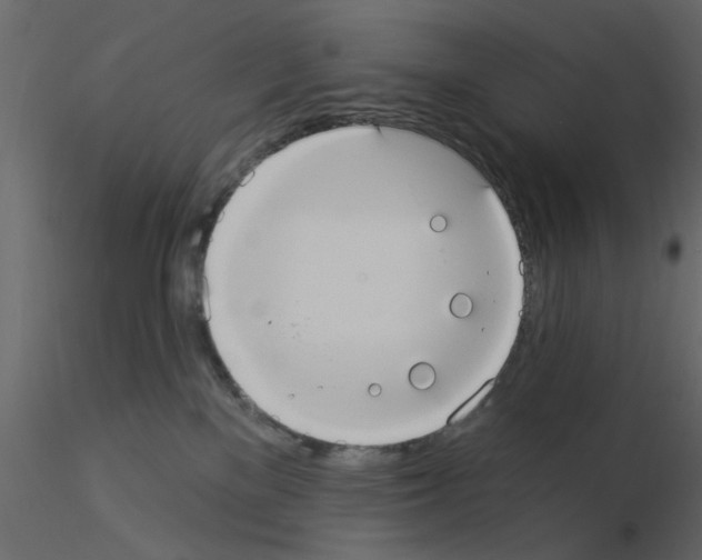 X0000115850137200912242045