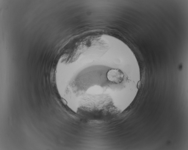 X0000115850139200912242045