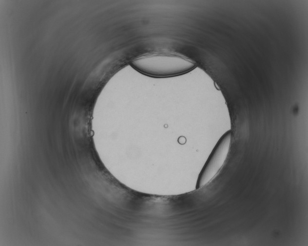 X0000115850140200912242045