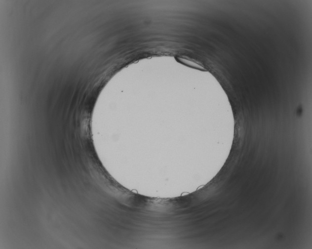 X0000115850141200912242045