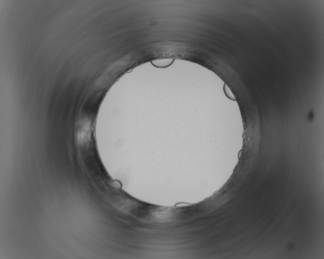X0000115850142200912242045