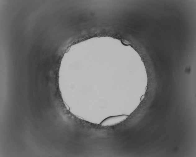 X0000115850144200912242045