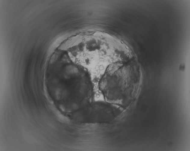X0000115850145200912242045