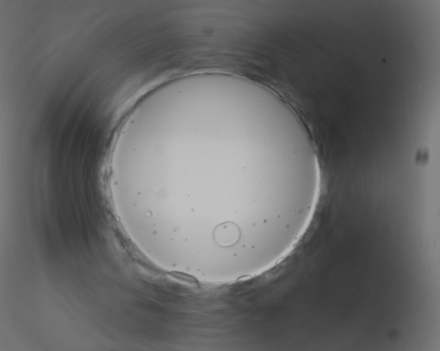 X0000115850146200912242045