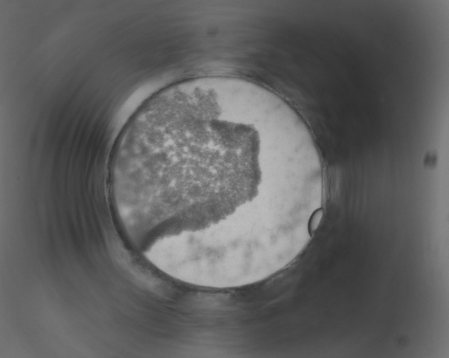 X0000115850147200912242045
