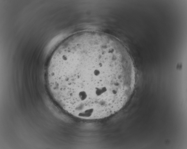 X0000115850149200912242045