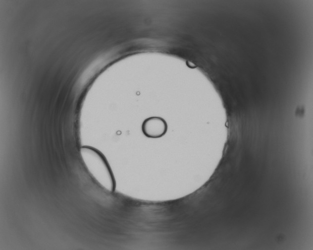 X0000115850150200912242045