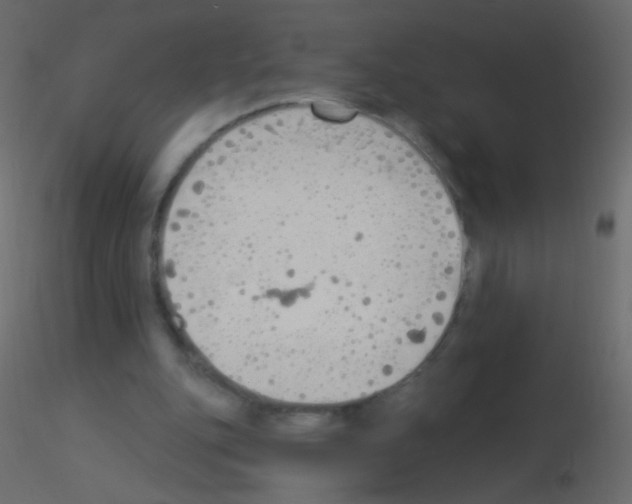 X0000115850151200912242045