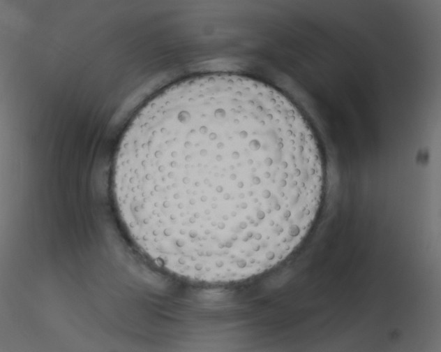 X0000115850153200912242045