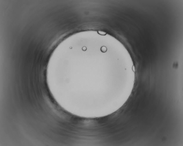 X0000115850154200912242045