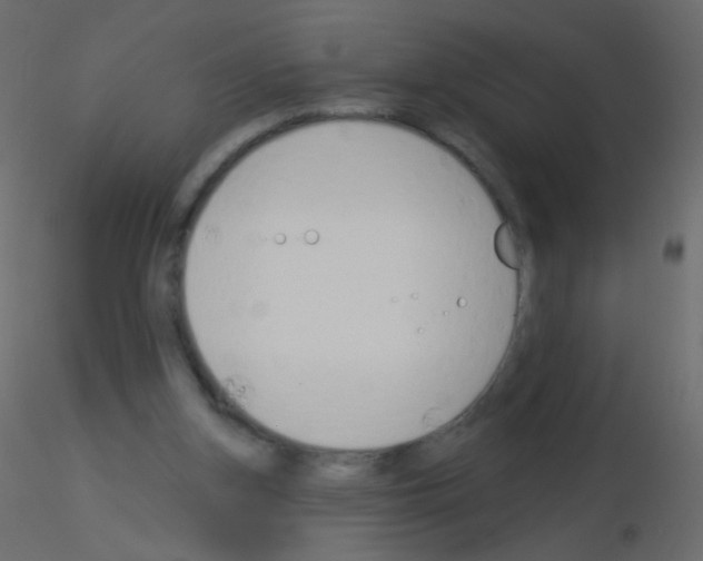 X0000115850155200912242045