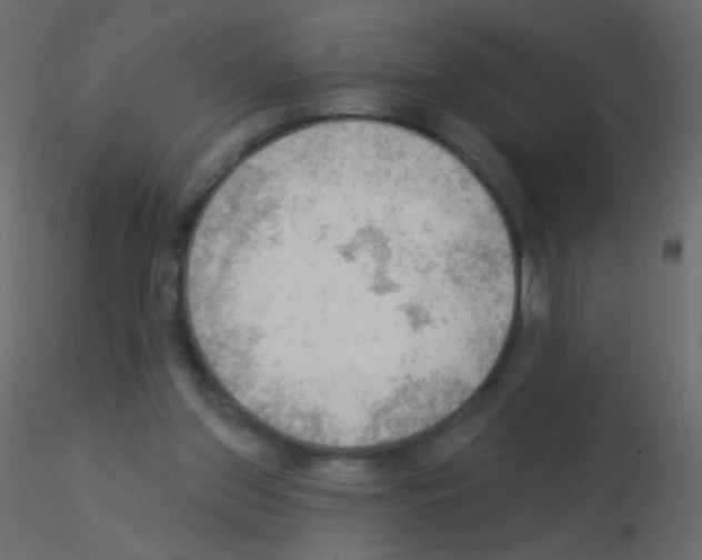 X0000115850157200912242045