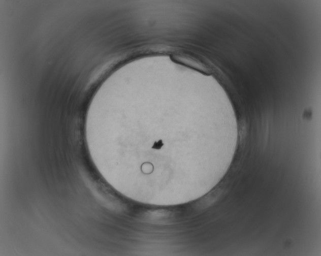 X0000115850158200912242045