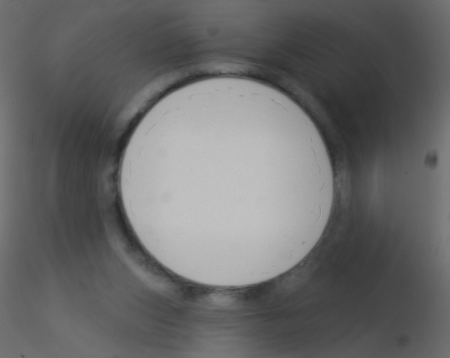 X0000115850159200912242045